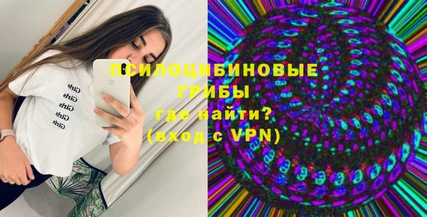 гашик Елабуга
