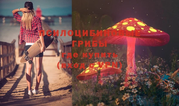дживик Елизово