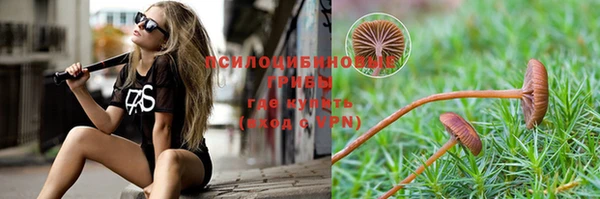 гашик Елабуга