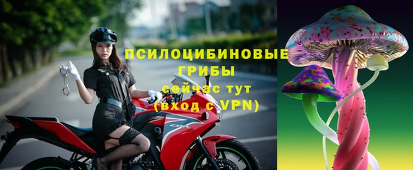 дживик Елизово